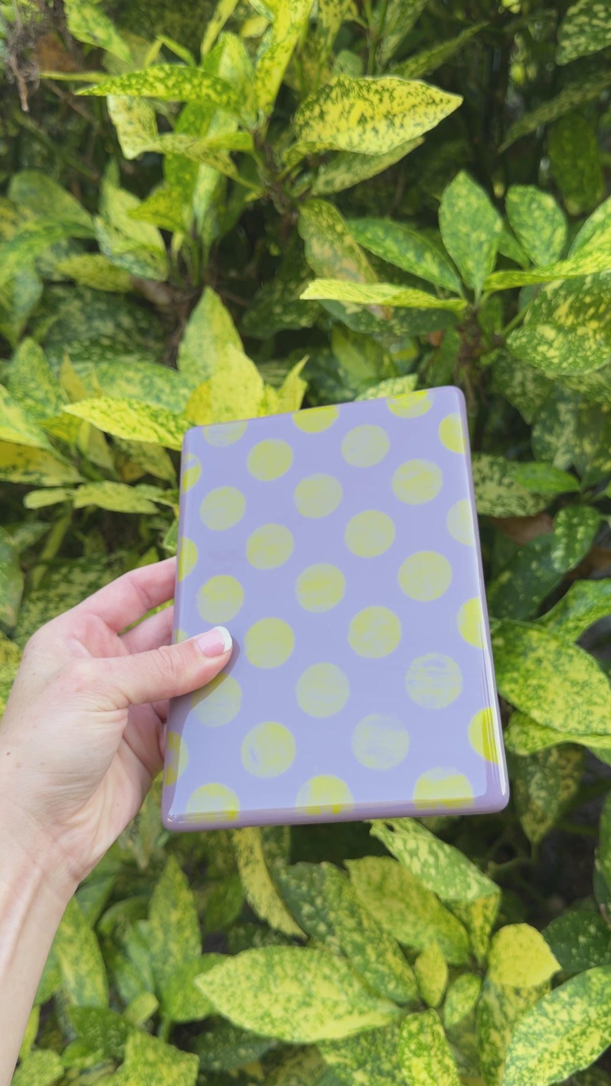 Lilac & yellow dot panel, 5x7, Video