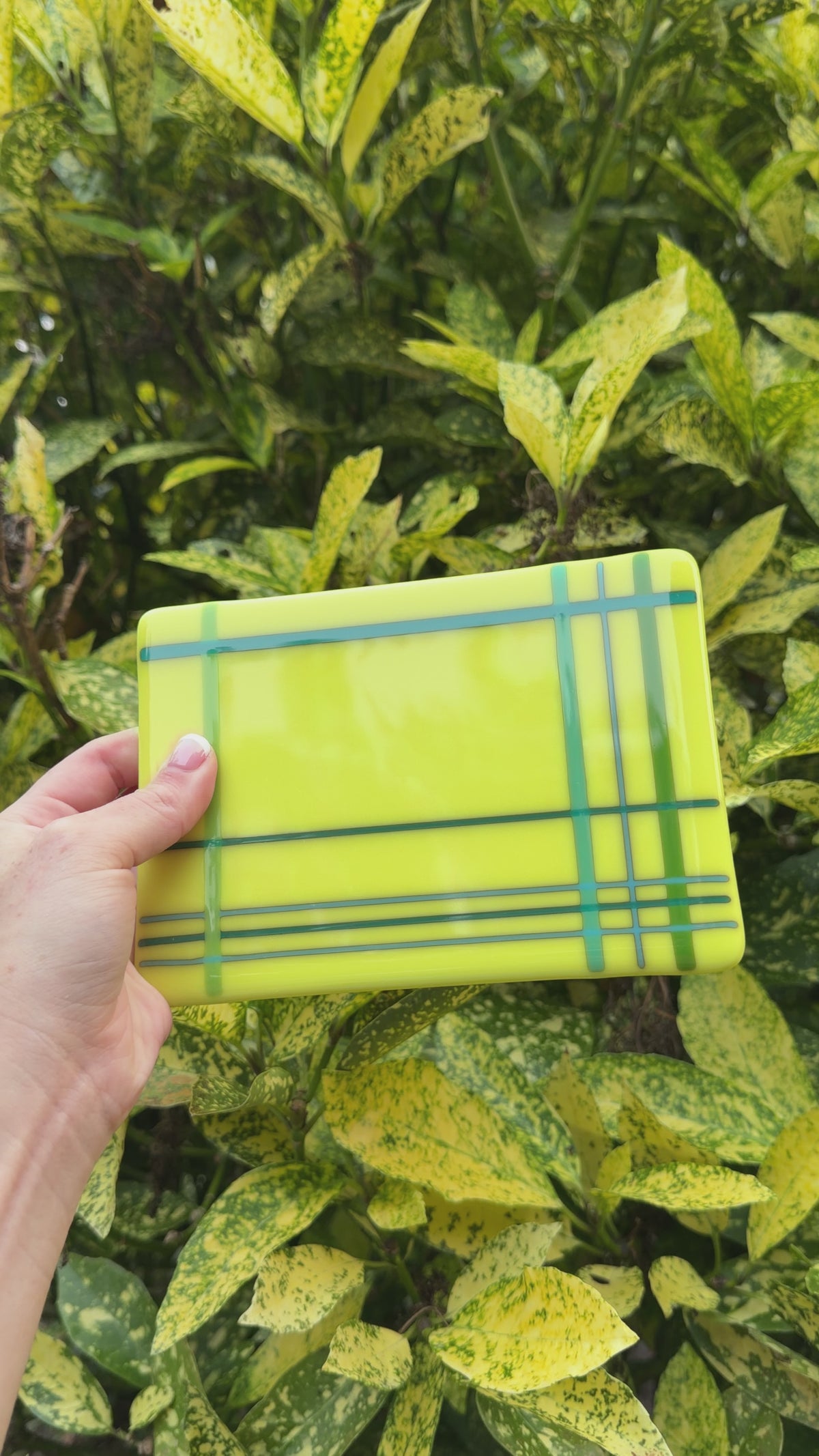 yellow plaid panel, 5x7, video