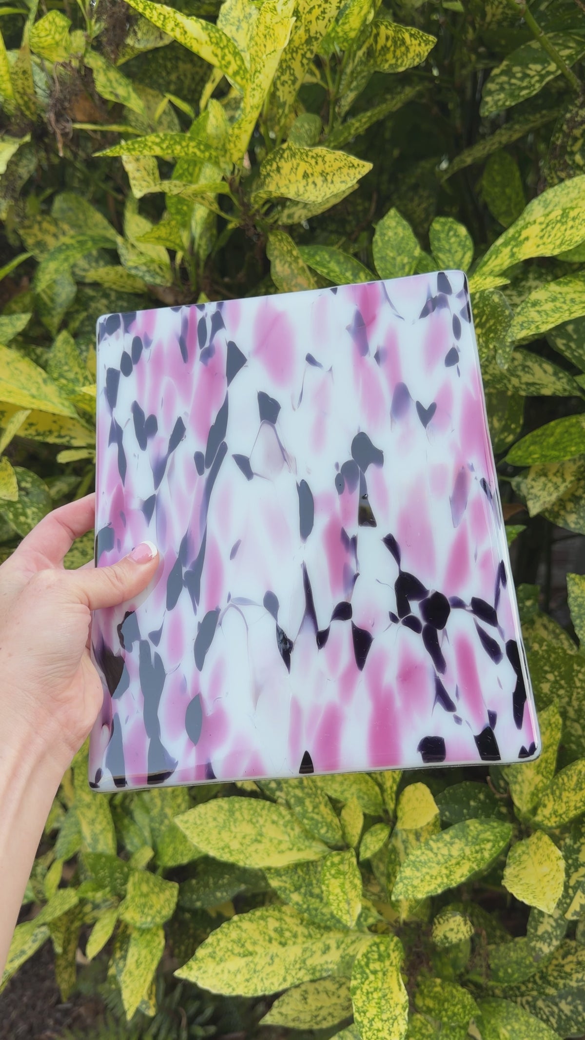 Pink spirit panel, 8x10, Video