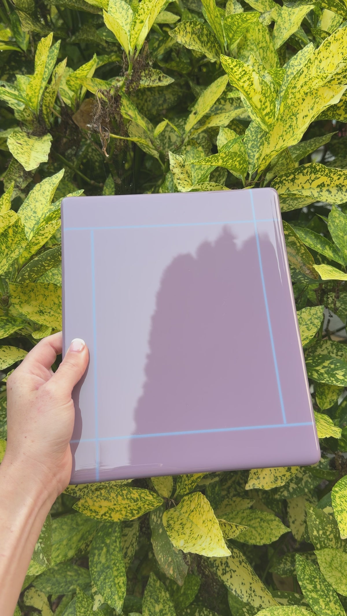 Lilac bordered panel, 8x10, Video