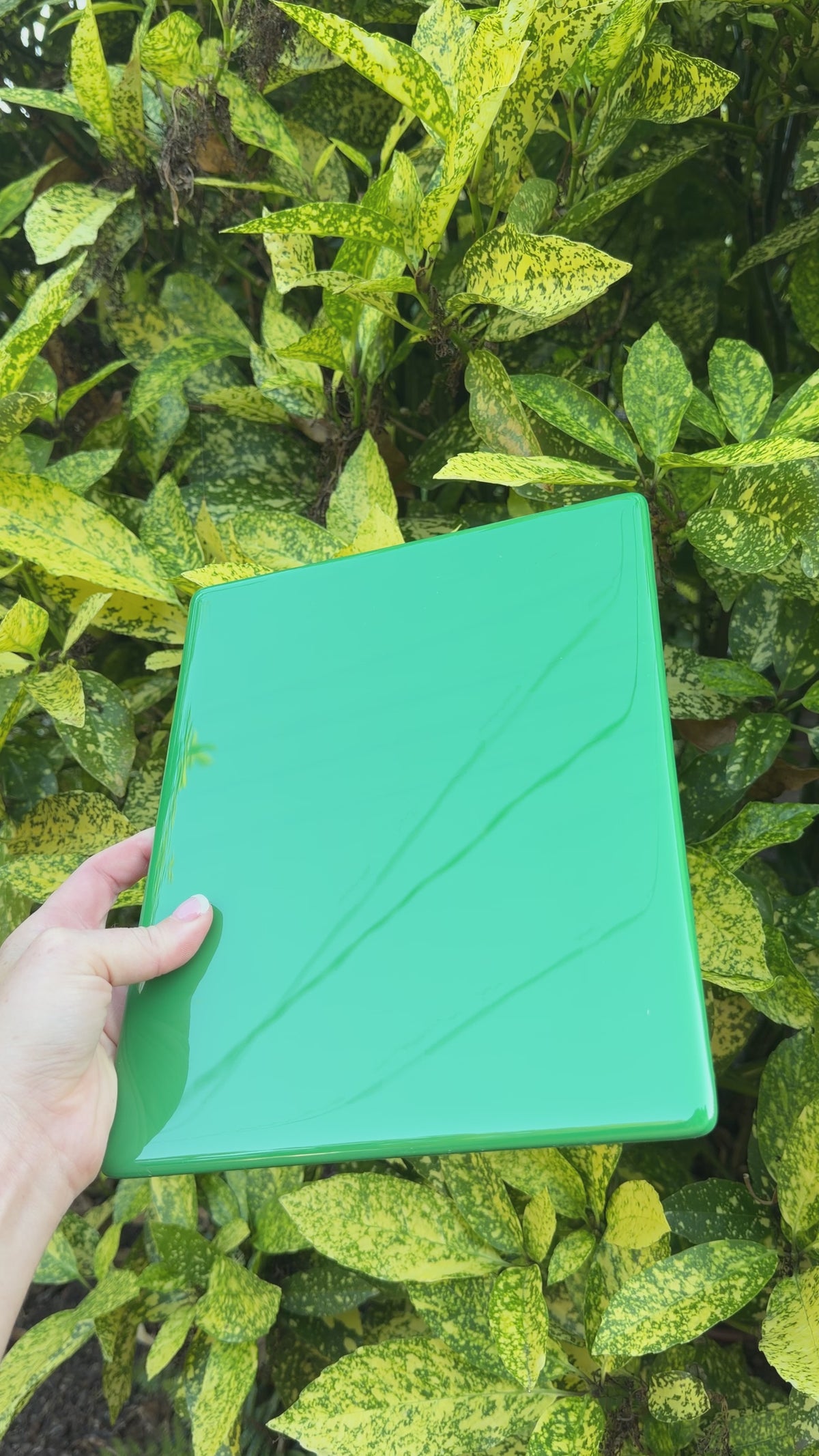 Medium green panel, 8x10, Video