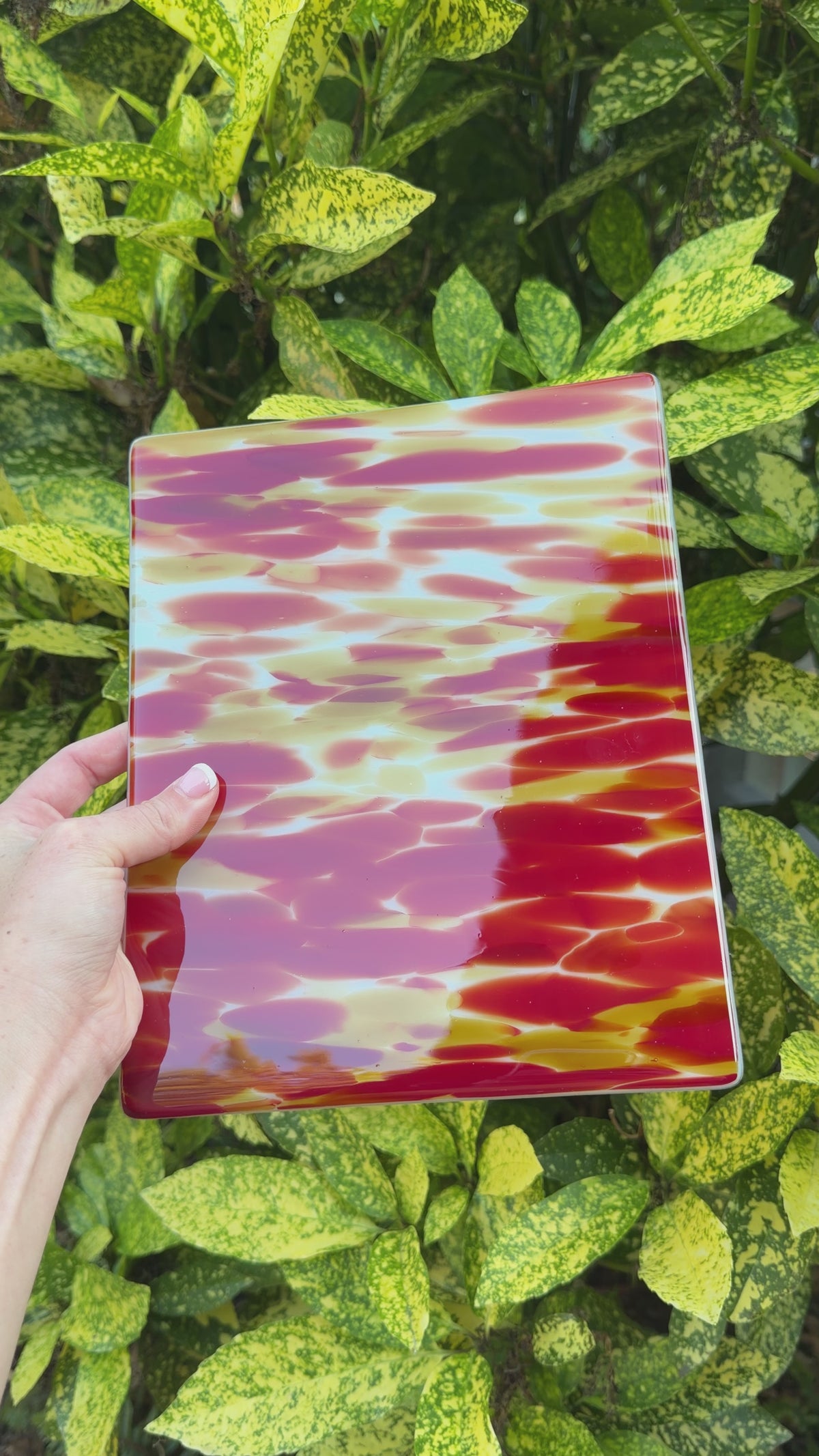 Vivid red spirit panel, 8x10, Video
