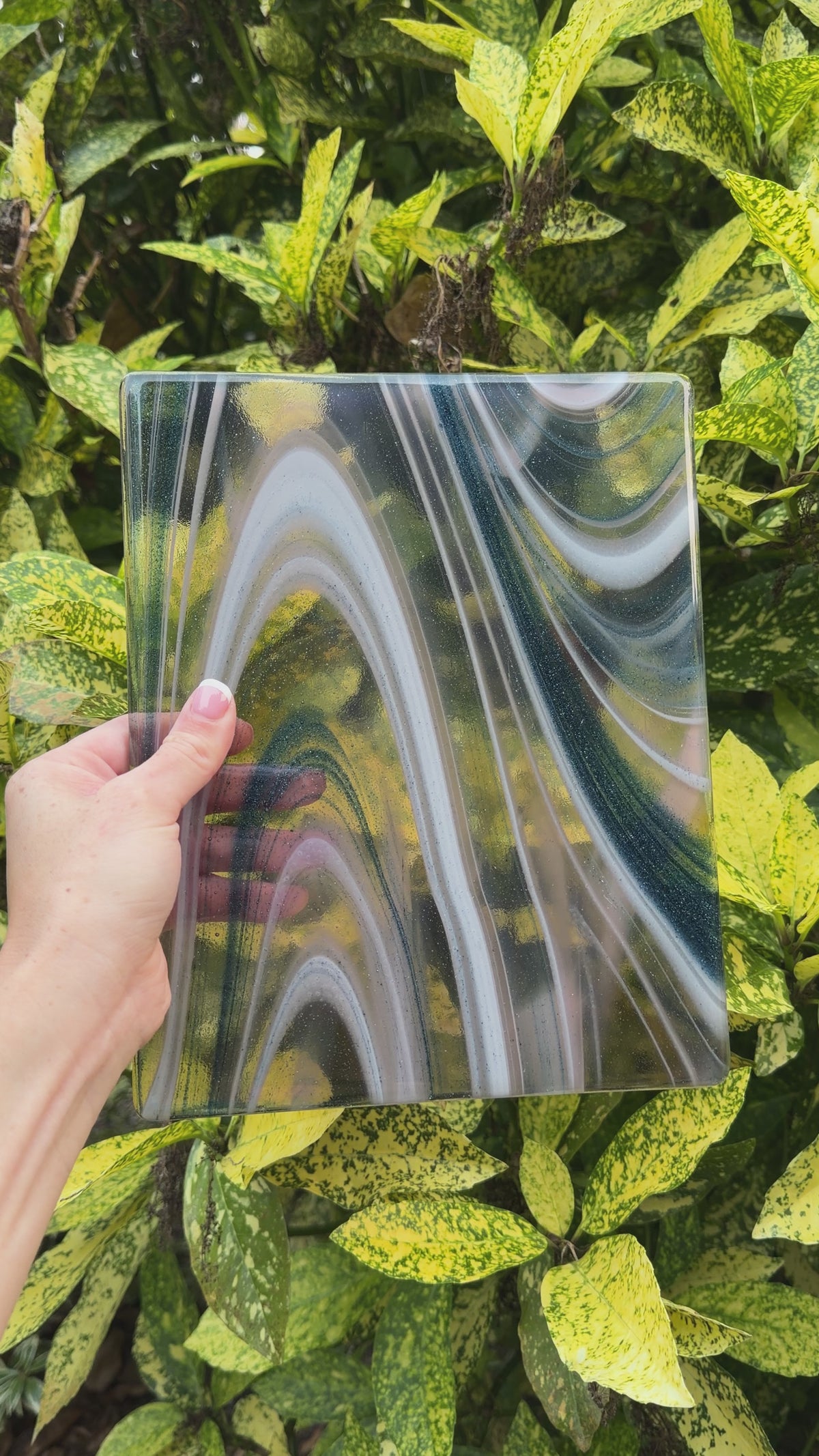 Whispering lotus panel, 8x10, Video